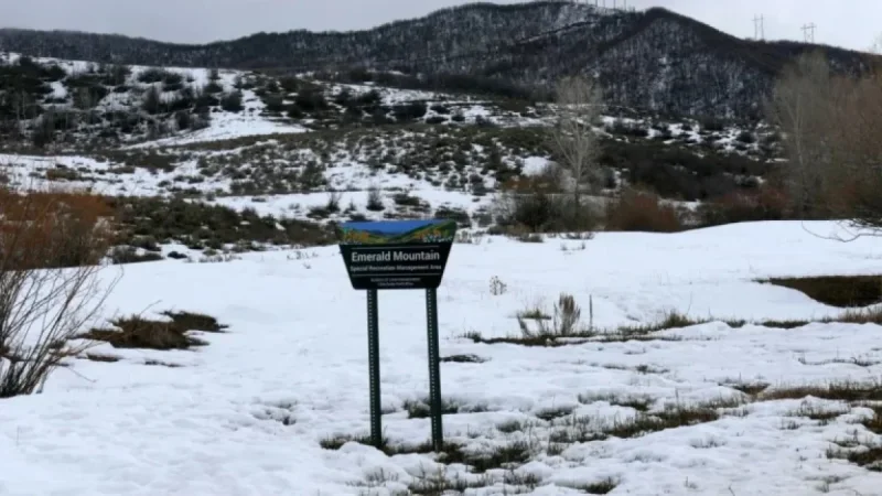 Colorado Plane Crash Claims Four Lives, Including Tennessee Businessmen