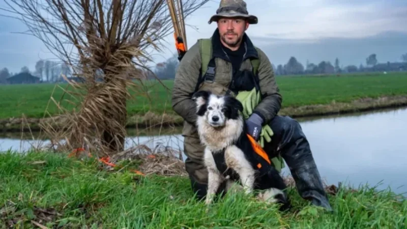 Tracker Dog Pip Aids in Detecting Invasive Muskrats