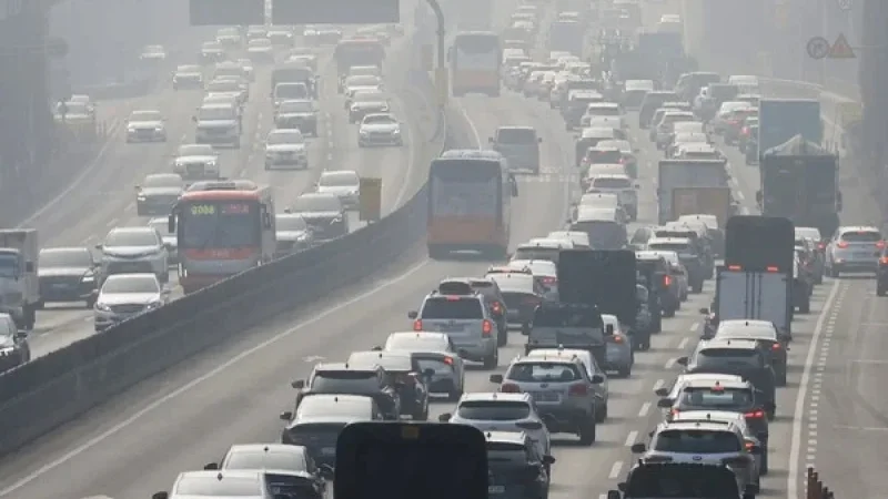 Warm Weather Continues: Second Day of Lunar New Year Reaches 19°C