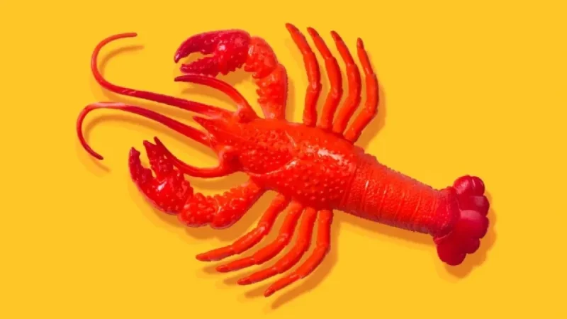 AI Experts Dispute OpenClaw Hype: Question Its Excitement Factor