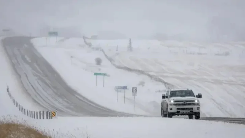 Alberta Braces for 10-20 cm of Snowfall This Week