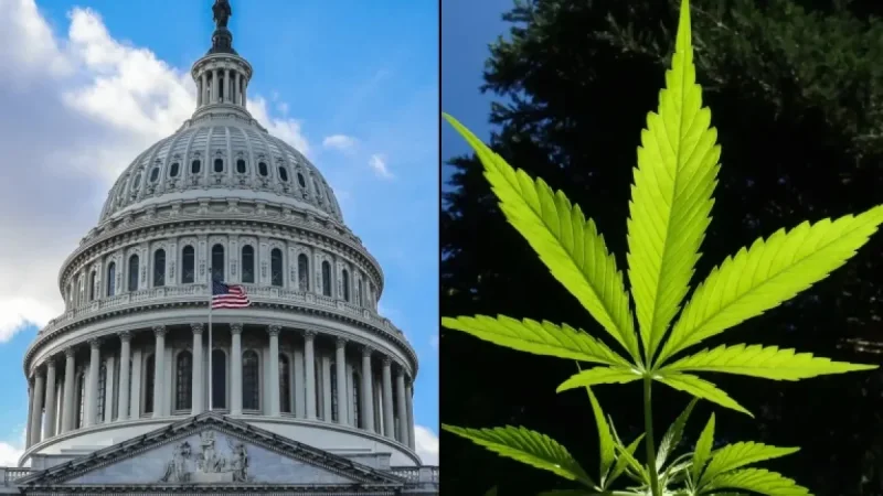 GOP Congressman: Justice Department May Need 20 Years to Reschedule Marijuana