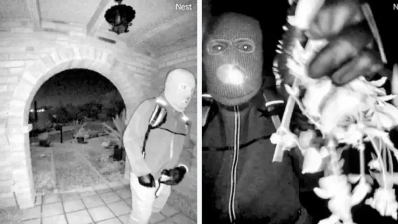 Sheriff Links Suspect’s Mask and Clothing in Nancy Guthrie Case to Walmart