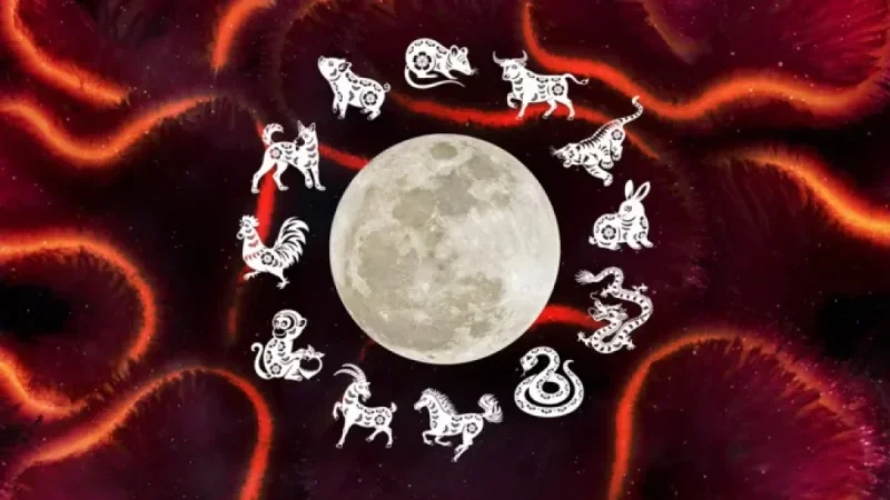 Discover Your Chinese Zodiac: What It Reveals About You This New Year