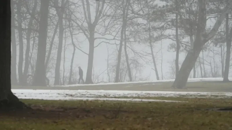 Emmet County Faces Freezing Fog in Tuesday Weather Forecast