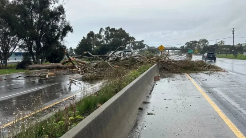 Highway 101 South Reopens at Fairview Avenue After Monday’s Tree Fall