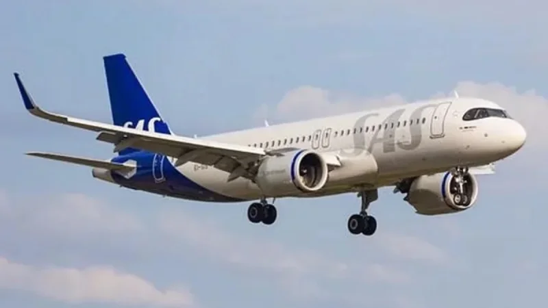 Mouse Forces SAS Flight Back to Stockholm