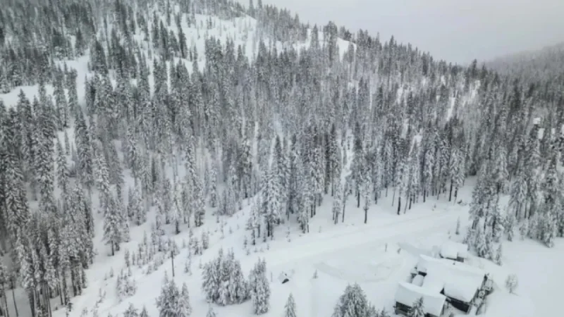 Rescue Teams Battle Harsh Weather to Find 10 Skiers in Sierra Avalanche
