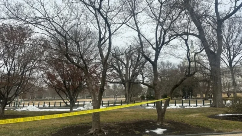 Teen Detained with Loaded Shotgun Near U.S. Capitol