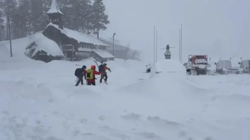 California Avalanche: Search Ongoing as Eight Skiers Found Dead