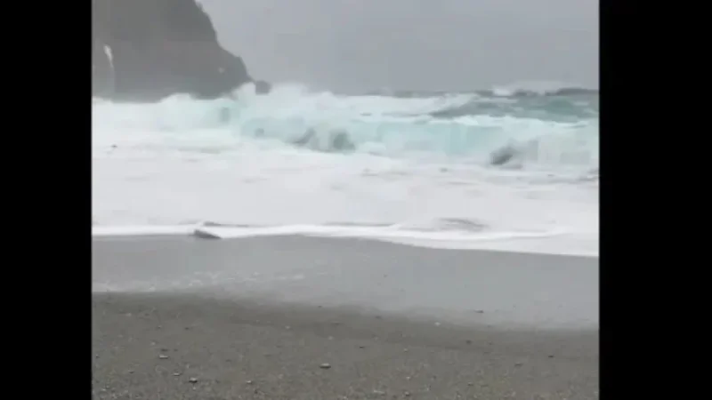 Heroic Couple Rescues Family During Perilous Beach Visit