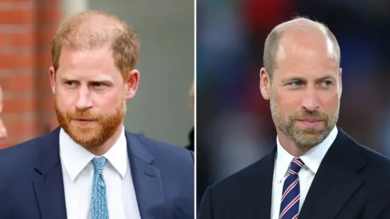 Prince Harry Engages Intermediary to Reconnect with Prince William