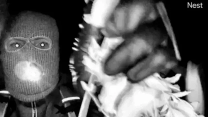 Sheriff Reveals DNA Test Results on Glove Linked to Nancy Guthrie Case