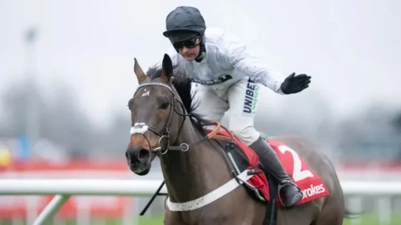 Amo Racing Upsets Constitution Hill as Betfair Favorite, £150K Bet