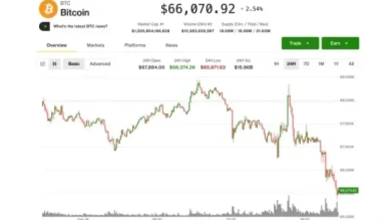 BTC Stabilizes at $67,000 Amid Demand for Crash Protection