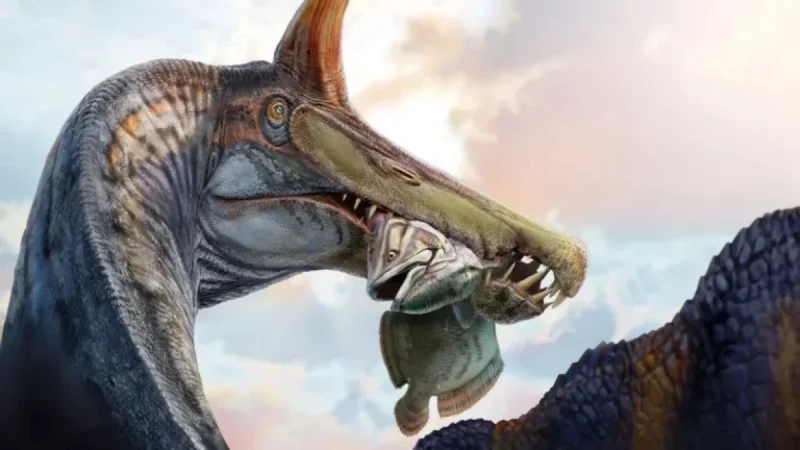 New Spinosaurus Discovery Revives Historic Debate