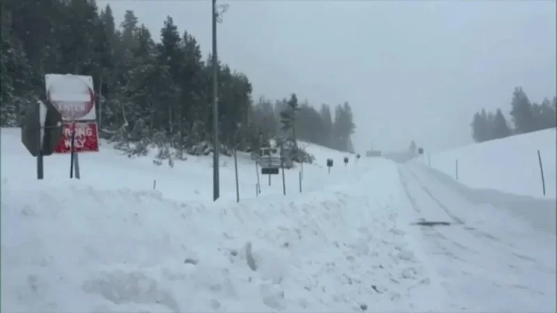 Six Mothers Identified as Victims in Deadly Lake Tahoe Avalanche
