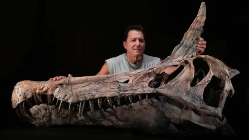 Unique Spinosaur Fossil Discovered in Sahara Redefines Expectations