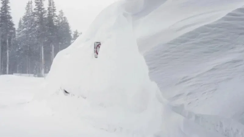 Victims of Sierra Avalanche: Mothers, Adventurers, Sisters Remembered
