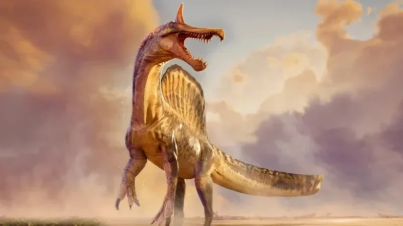 Massive ‘Hell Heron’ Dinosaur Fossils Discovered in Niger