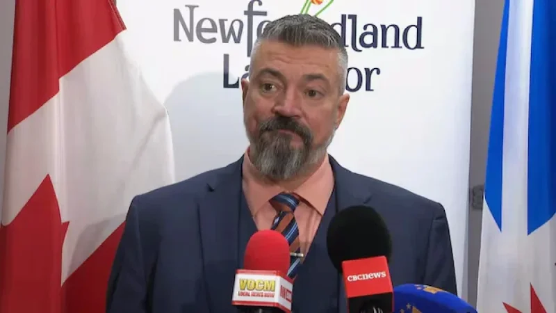 N.L.’s Promising Wind-to-Hydrogen Industry Faces New Challenges