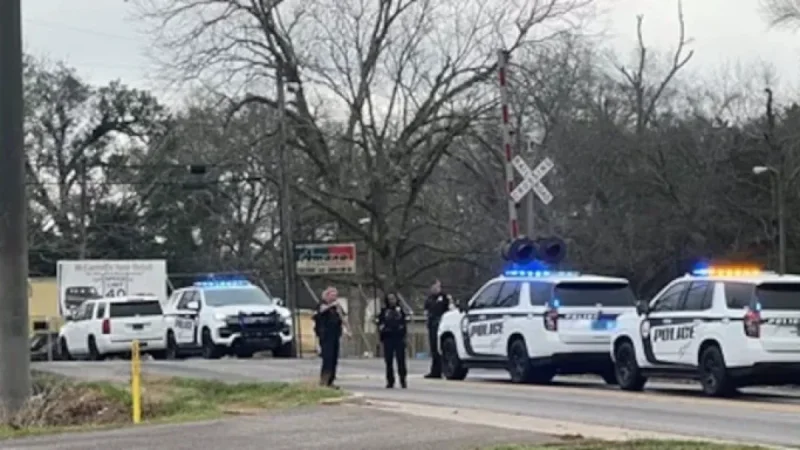 Train-Vehicle Collision Claims Lives of Woman and Child, Authorities Report