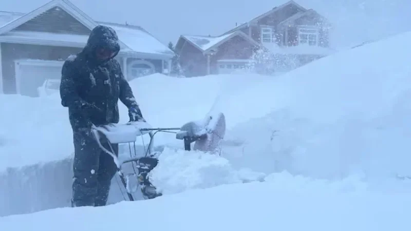 Avalon Peninsula Snowstorm Halts Metrobus Services on Monday