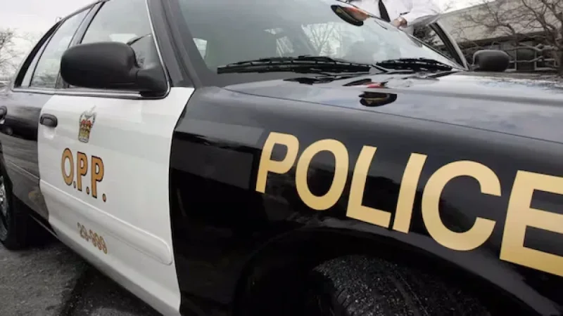 Bus Crash Disrupts Traffic on Highway 401 Near Napanee, Ontario