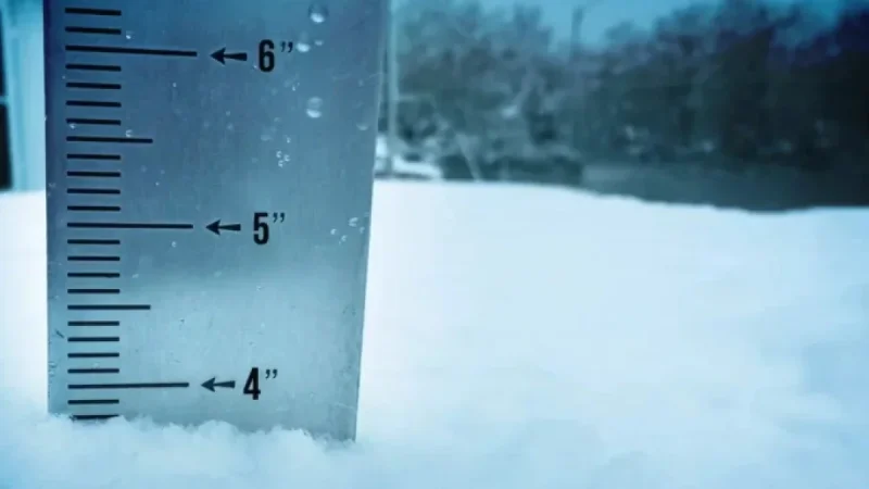 February 19-20, 2026: Snowfall Accumulation Summary