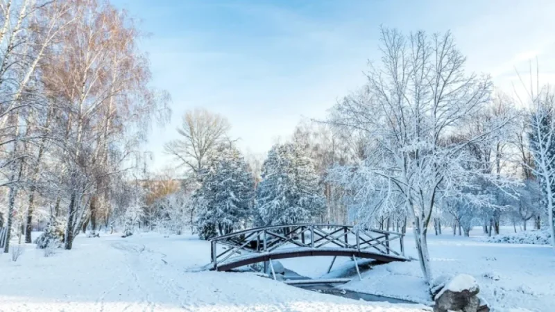 Governor Lamont Advises Connecticut to Prepare for Blizzard Sunday Night, Monday Morning