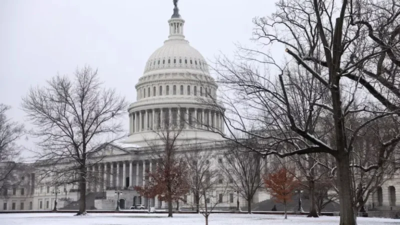 D.C. Snowstorm Strikes Select Areas, Spares Others: Full Report