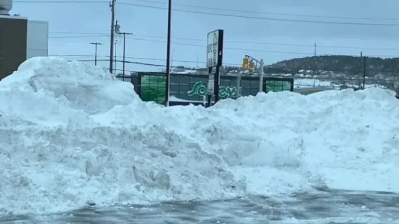 Metro Schools Closed Tuesday