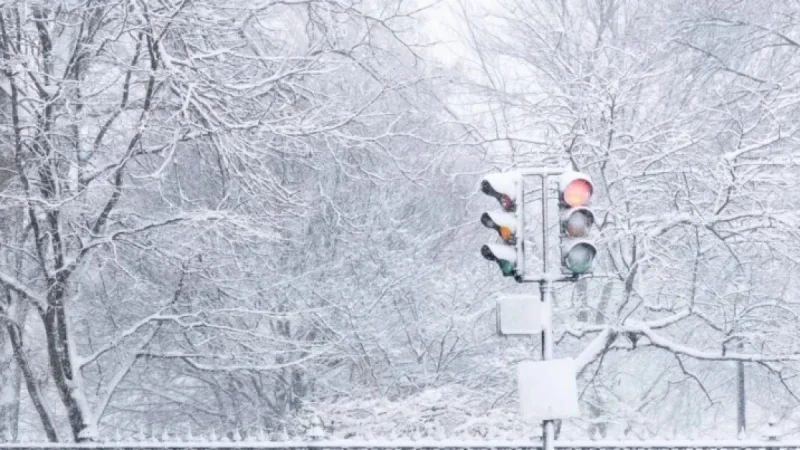Record-Breaking ’26 Snowstorm: Boston Area Snowfall Totals Revealed