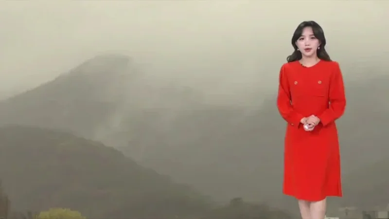 Dense Fog Advisory Issued Until Tomorrow Morning