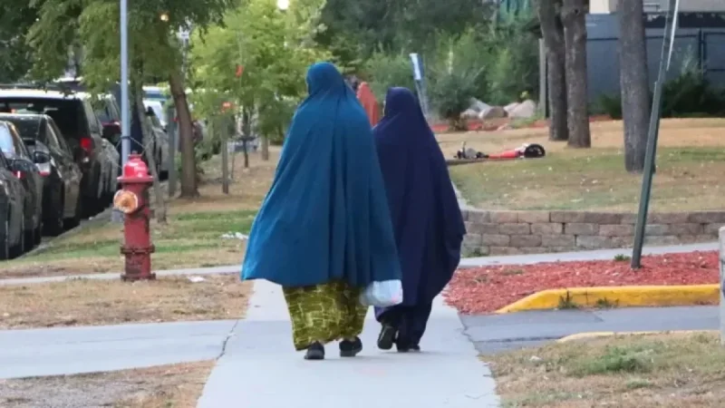 Unveiling the Hidden Shame: FGM in Minnesota’s Somali Community
