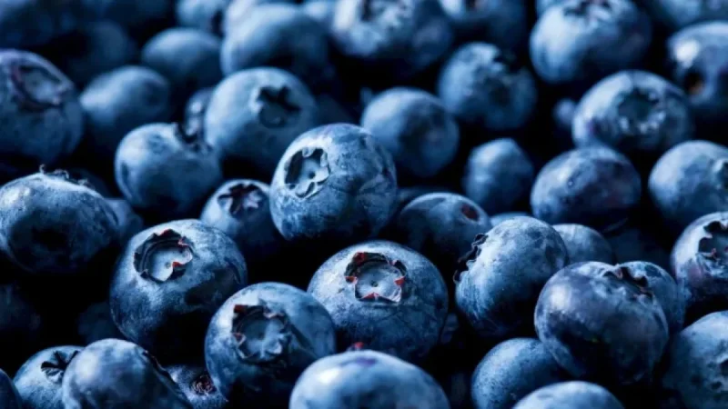 55,000 Pounds of Blueberries Recalled Due to Fatal Listeria Risk