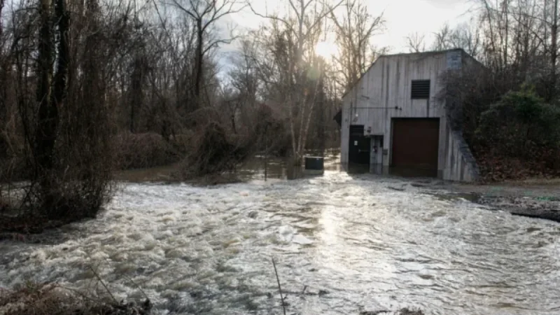 Potomac River Clean-Up: Timeline for Sewage-Free Waters