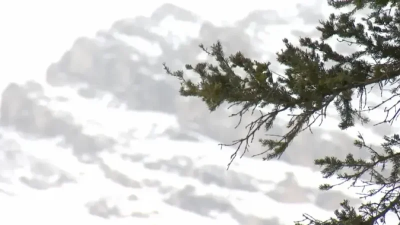 Avalanche Traps 2 Skiers Near Calgary; 1 Found Unresponsive