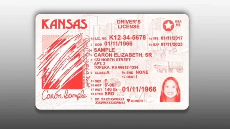Chaos Erupts as Red State Lawmakers Revoke Driver’s Licenses, Birth Certificates