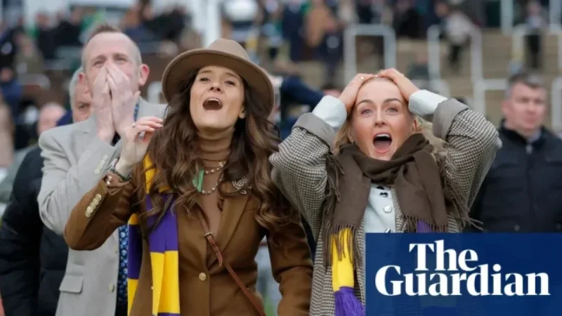 Cheltenham Optimistic for Ticket Sales Recovery After Three-Year Decline
