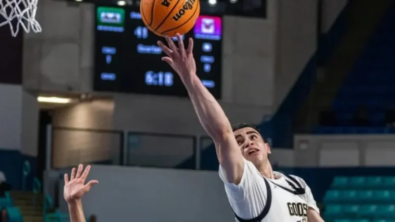 Gators Defeated in Lower State Championship Game