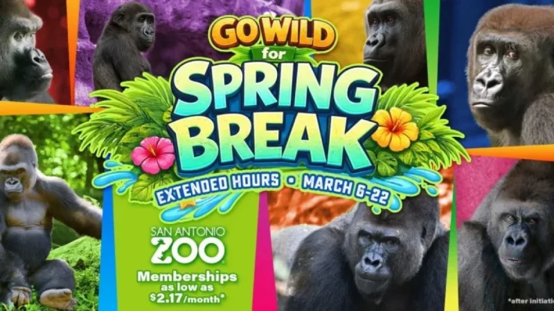 San Antonio Zoo Showcases Congo Falls and Pollinators for Spring Break