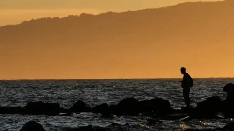 Experts Advise Caution on Study Linking ‘Forever Chemicals’ to Male Aging
