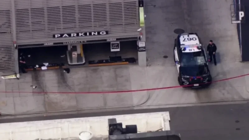 1 Dead, 2 Injured in Shooting at Long Beach Marathon Burger Opening