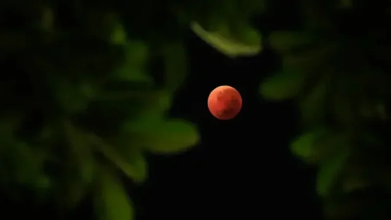 ‘Blood Moon to Illuminate Canadian Skies Overnight, NASA Reports’