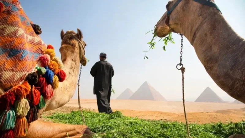 Is It Safe to Travel to Egypt? Current Expert Advice