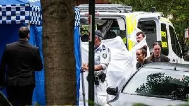 Armed man shot dead by police in Sydney after two women assaulted — Dr Steven Lin