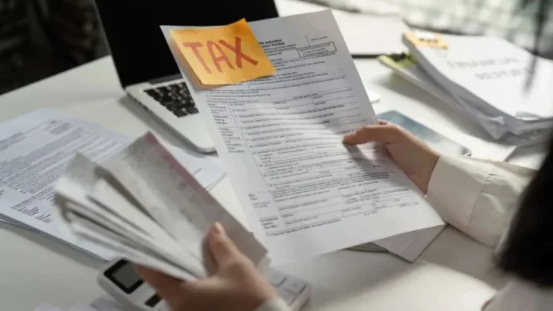 Tax Preparer Tip Lines Go Digital: What the IRS Reporting Hub Changes for Refund Fraud