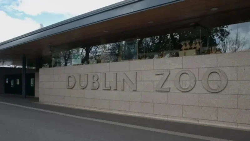 Dublin Zoo announces free entry for mums ahead of Mother’s Day