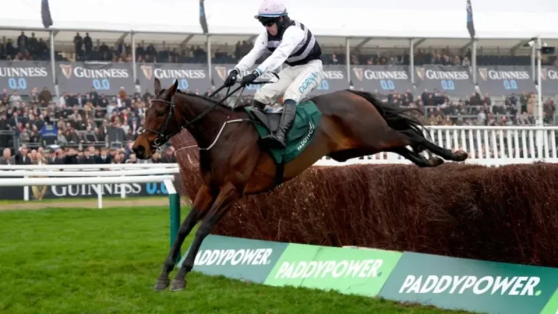 Cheltenham Festival 2026: Free live follow as The Jukebox Man targets Gold Cup